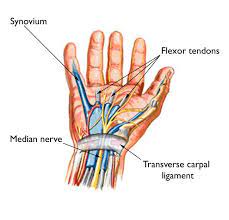 Carpal Tunnel Syndrome Treatment In Hyderabad